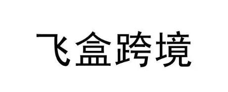飞盒跨境怎么样（飞盒跨境以技术驱动跨境物流智能履约）  　　