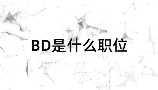 什么是bd