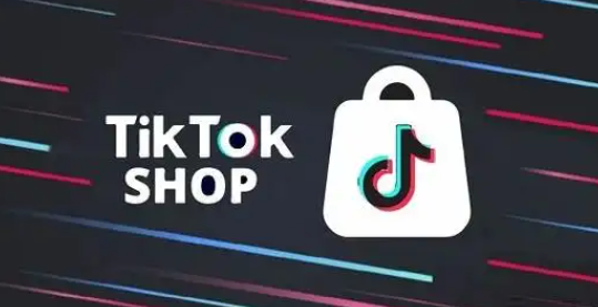 跨境电商平台TikTok