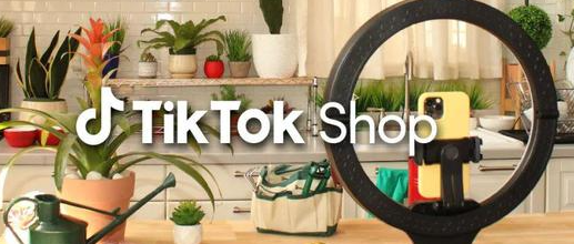 Tiktok Shop跨境电商平台严惩违规行为（超200万卖家用户被关闭）