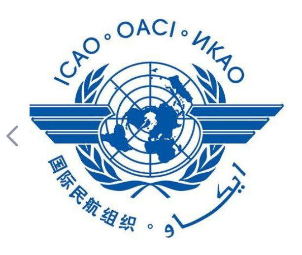 货运代理，国际航空运输，国际民用航空