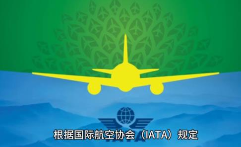 国际空运重货邮寄攻略（空运运重货大货怎么运划算）