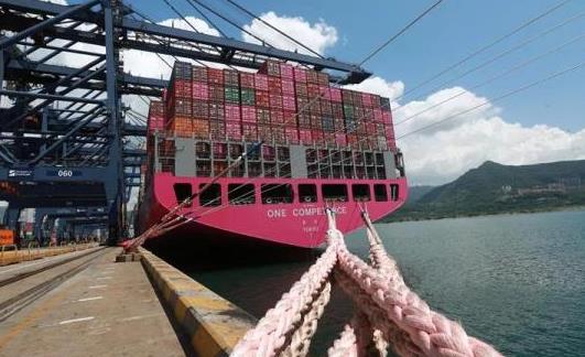 这个国际海运集装箱港口市场份额同比增长29.9%（总吞吐量增加了8.6%）