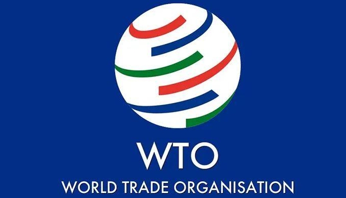 世贸组织预测2024年全球贸易将恢复增长（外贸人&跨境电商注意下行风险）