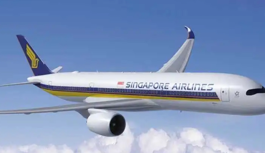 新加坡国际空运公司将大力发展在线预订及在线支付服务（服务范围逐年增加）