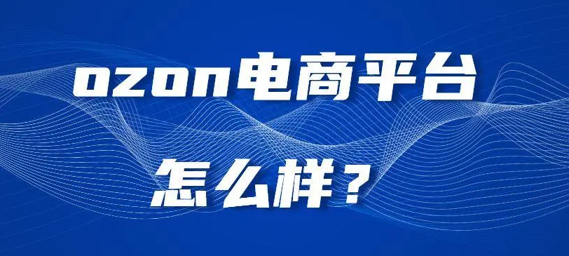 Ozon 电商平台的复苏与变革