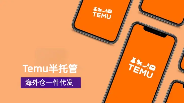 Temu 物流发货全攻略：流程与注意事项