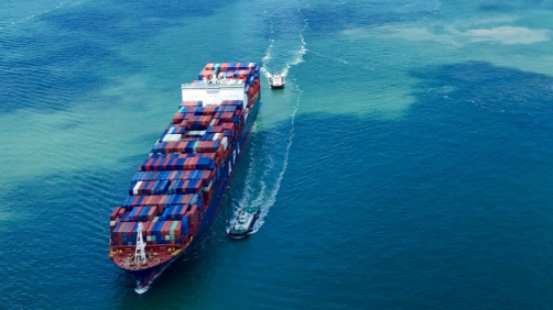 国际海运，上门取件