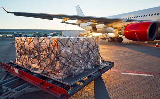 国际快递，地址填错