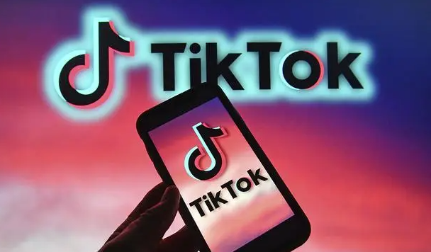 TikTok Shop日本站的入驻要求有哪些？（计划进出日本跨境电商市场的卖家看过来）