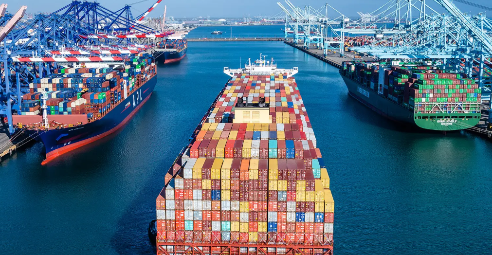 国际海运，出口清关