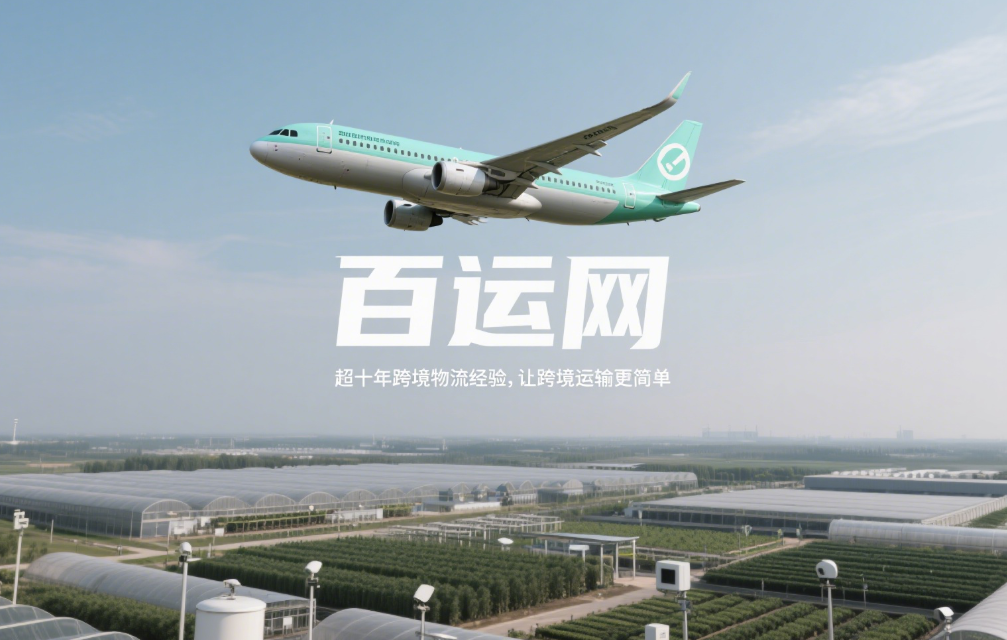 国际空运