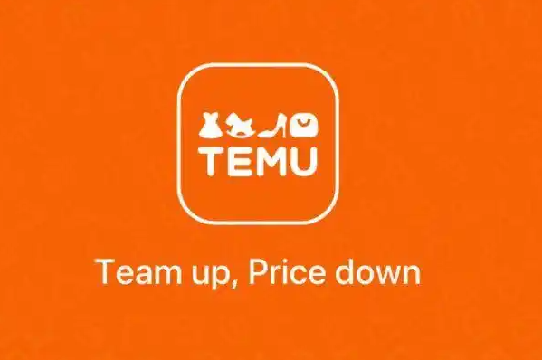 跨境电商，temu