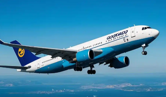 机场自提,送货上门,国际空运