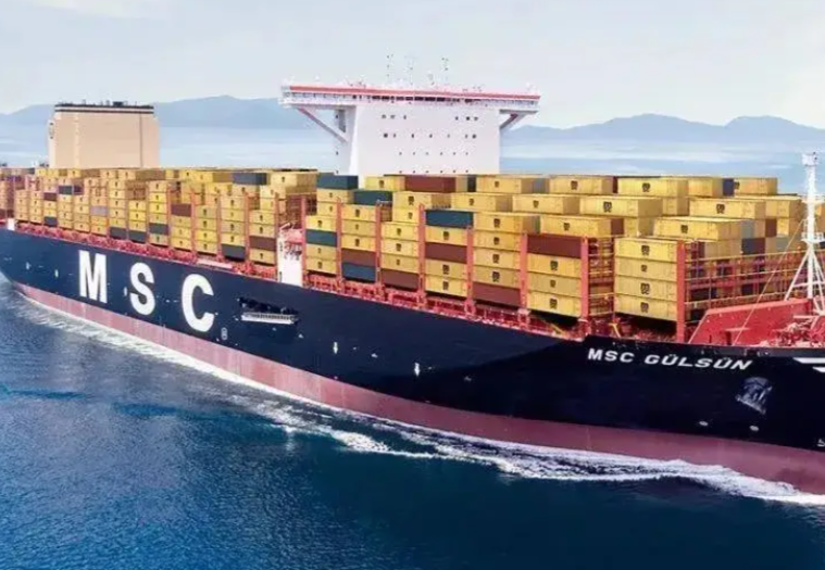 msc，国际海运